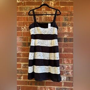 NWT Loft Black & Cream Eyelet Dress